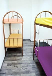 Готелі . Готель Місце у загальному 4-місному номері . 