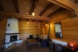 Ozero Vita. Room Junior suite Double one-room apartment with a fireplace (1st floor) Borzhava