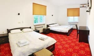 Hotels . Hotel De luxe Quadruple . 