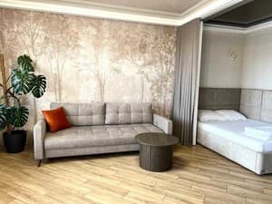 Hotels . Hotel Studio Triple with a terrace. 