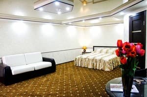 Отели . Гостиница Полулюкс двухместный . 