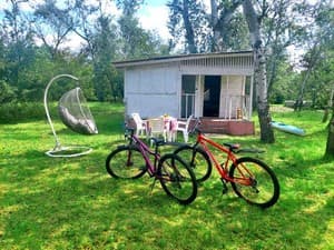 Orelsky yard. Room Economy Double 