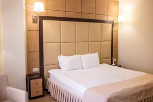 GREEN PARK HOTEL&SPA. Номер Стандарт двомісний 