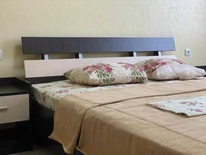 Отели . Гостиница Апартаменты двухместный . 