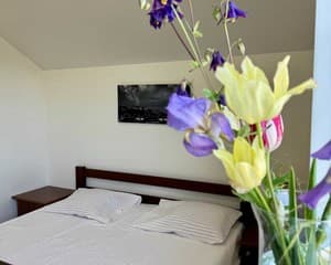 Townhouse in Odessa by the sea. Room Cottage Quadruple 