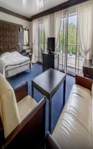 Готелі . Готель Делюкс двомісний з видом на парк. 