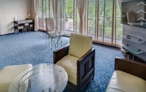 Готелі . Готель Люкс двомісний з видом на парк. 