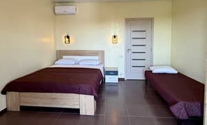 Hotels . Hotel Classic Triple . 