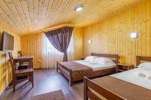 Sofion Hotel & Resort. Номер Делюкс трехместный с кондиционером