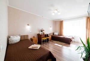 Отели . Гостиница Стандарт двухместный . 