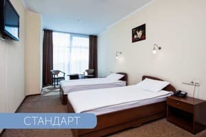 Отели . Гостиница Стандарт двухместный. 