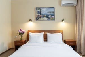 Отели . Гостиница Стандарт двухместный . 