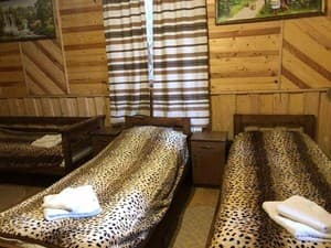 Отели . Гостиница Стандарт трехместный . 