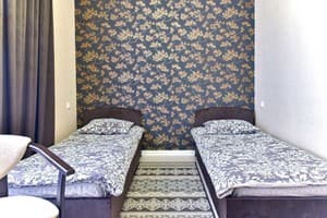 Отели . Гостиница Стандарт двухместный TWIN. 