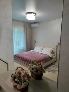 Forest Dream Poliana Apartments. Room Apartament Double 