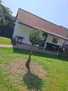 Отели . Гостиница Коттедж двухместный . 