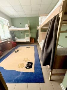 Vibe Place. Room Bed in Female Dormitory 8-bed room 
