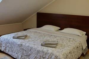 Готелі . Готель Економ двомісний мансарда. 