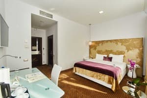 Отели . Гостиница Стандарт двухместный . 