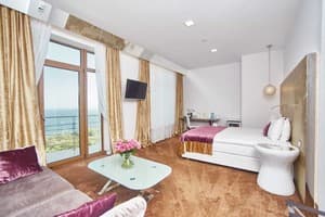 Отели . Гостиница Полулюкс двухместный . 