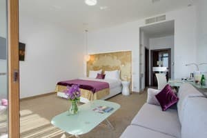 Отели . Гостиница Люкс двухместный . 