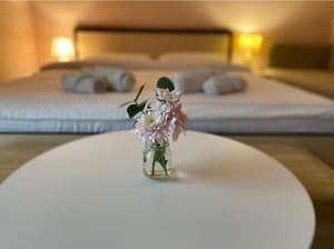 Отели . Гостиница Комфорт трехместный с балконом 9. 