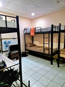 Отели . Гостиница Место в мужском 6-местном номере . 