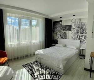 Готелі . Готель Стандарт двомісний Великий №301. 