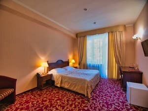 Отели . Гостиница Стандарт двухместный . 