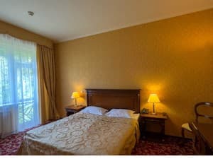 Отели . Гостиница Люкс двухместный . 