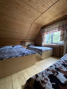 Отели . Гостиница Стандарт 4-местный Безумное. 