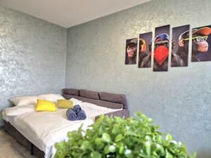 Отели . Гостиница Апартаменты двухместный 11 этаж. 