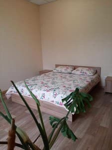 Отели . Гостиница Стандарт двухместный . 