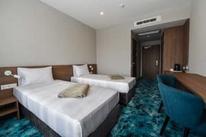 Готелі . Готель Стандарт двомісний Standard Room with River View. 