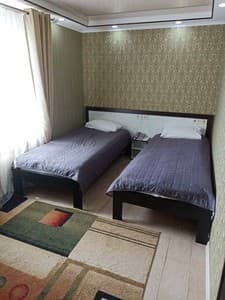 Отели . Гостиница Стандарт двухместный . 