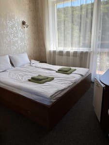 Отели . Гостиница Стандарт двухместный . 