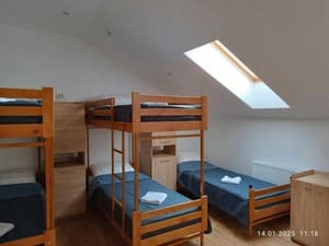 Hotels . Hotel Bed in Female Dormitory 5-bed room . 
