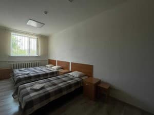 Отели . Гостиница Стандарт трехместный . 