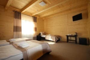 Отели . Гостиница Стандарт трехместный . 