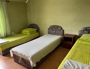 Готелі . Готель Стандарт тримісний Класичний. 