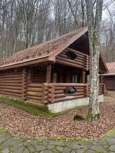 Отели . Гостиница Вілла з каміном. 