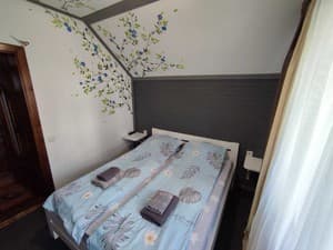 Hotels . Hotel Cottage Quadruple . 