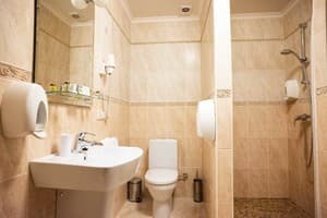 Готелі . Готель Стандарт двомісний мансард twin. 