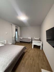 Hotels . Hotel Junior suite Quadruple . 