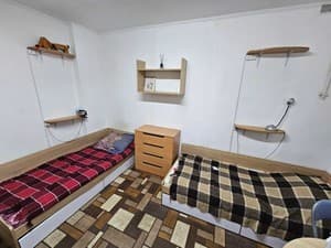 Hotels . Hotel Bed in Male Dormitory triple room . 
