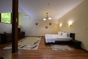 Готелі . Готель Делюкс двомісний преміум. 