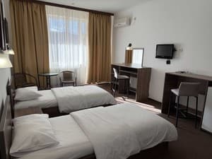 Отели . Гостиница Стандарт двухместный . 