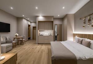 Отели . Гостиница Студио двухместный Полулюкс с балконом. 