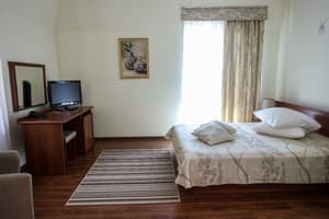 Hotels . Hotel Suite Double . 