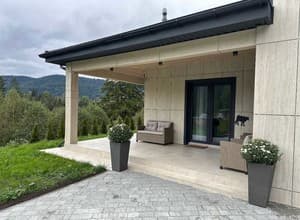 Готелі . Готель Котедж 4-місний Цегляний будинок. 